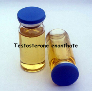 Injectable Semi-Finished Oil Testosterone Enanthate 300mg/Ml